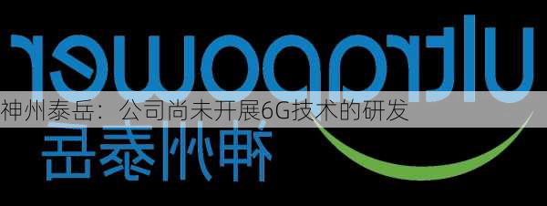 神州泰岳：公司尚未开展6G技术的研发