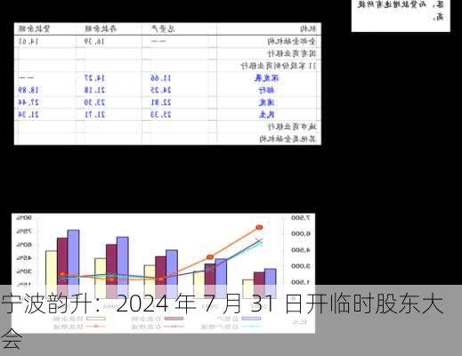 宁波韵升：2024 年 7 月 31 日开临时股东大会