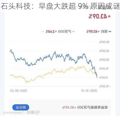 石头科技：早盘大跌超 9% 原因成谜