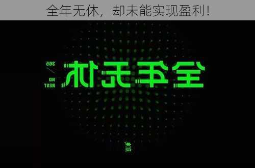 全年无休，却未能实现盈利！