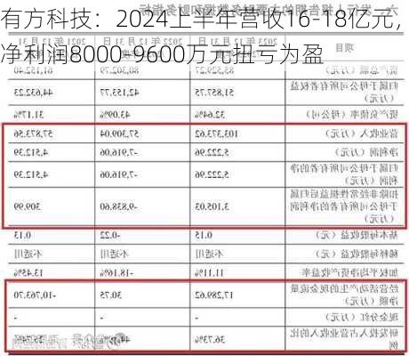 有方科技：2024上半年营收16-18亿元，净利润8000-9600万元扭亏为盈