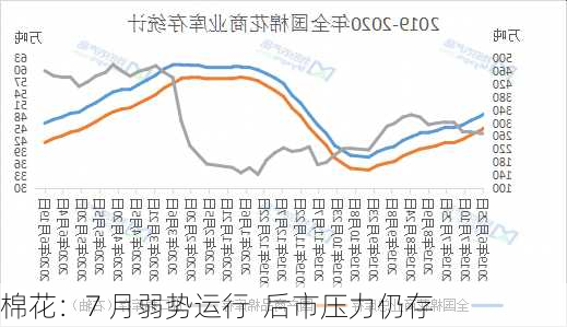 棉花：7 月弱势运行  后市压力仍存