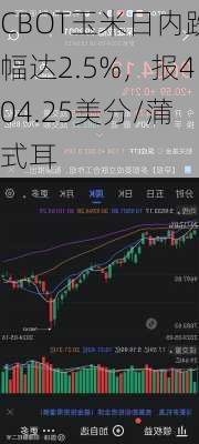 CBOT玉米日内跌幅达2.5%，报404.25美分/蒲式耳