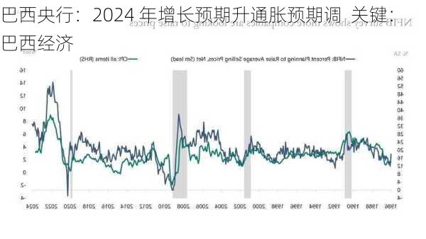 巴西央行：2024 年增长预期升通胀预期调  关键：巴西经济