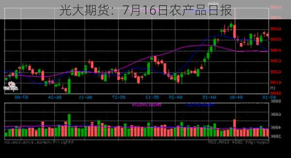 光大期货：7月16日农产品日报