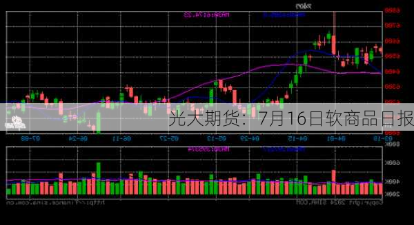 光大期货：7月16日软商品日报