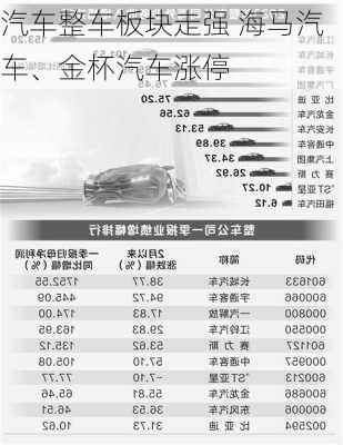 汽车整车板块走强 海马汽车、金杯汽车涨停