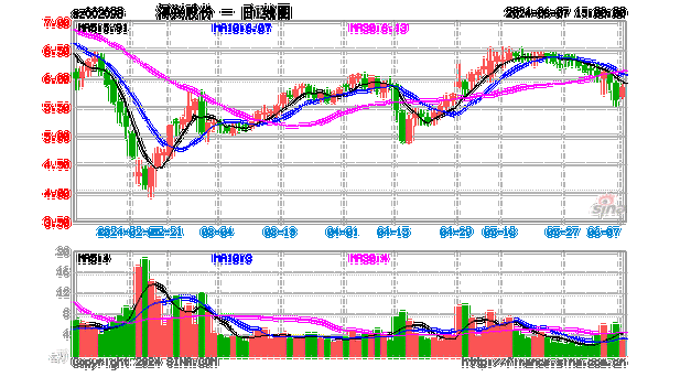 浔兴股份（002098）：7月16日13时00分触及涨停板