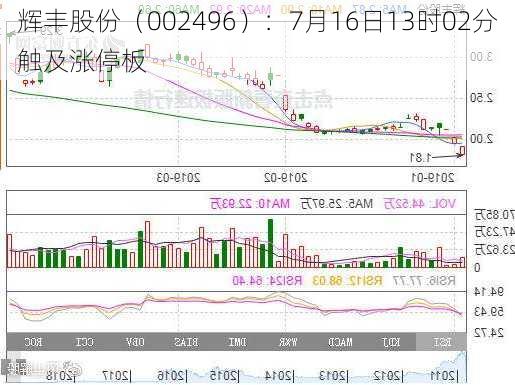 辉丰股份（002496）：7月16日13时02分触及涨停板