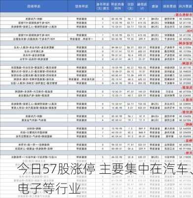 今日57股涨停 主要集中在汽车、电子等行业