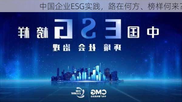 中国企业ESG实践，路在何方、榜样何来？