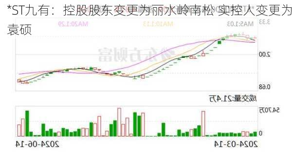 *ST九有：控股股东变更为丽水岭南松 实控人变更为袁硕