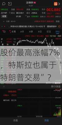 股价最高涨幅7%，特斯拉也属于“特朗普交易”？