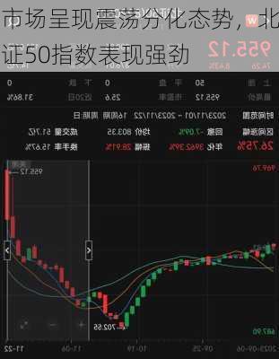 市场呈现震荡分化态势，北证50指数表现强劲