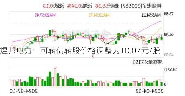 煜邦电力：可转债转股价格调整为10.07元/股