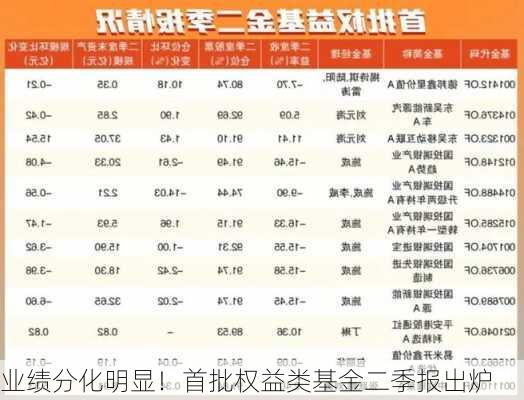 业绩分化明显！首批权益类基金二季报出炉