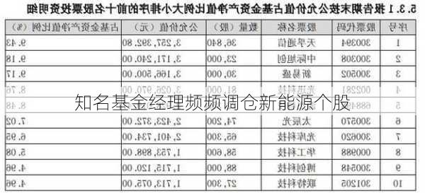 知名基金经理频频调仓新能源个股