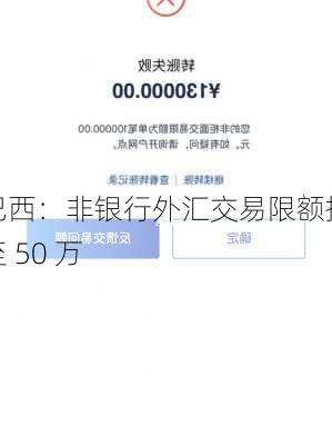 巴西：非银行外汇交易限额提至 50 万