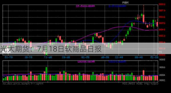 光大期货：7月18日软商品日报