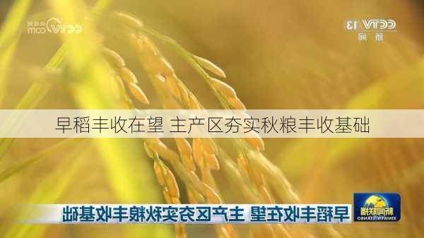 早稻丰收在望 主产区夯实秋粮丰收基础