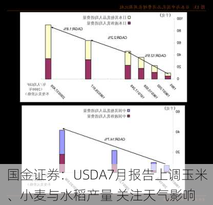 国金证券：USDA7月报告上调玉米、小麦与水稻产量 关注天气影响