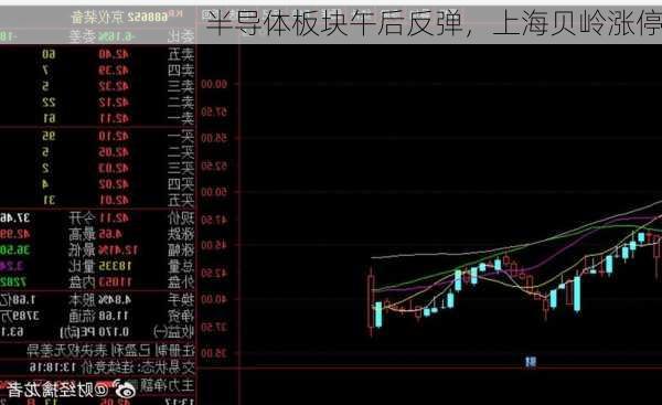 半导体板块午后反弹，上海贝岭涨停