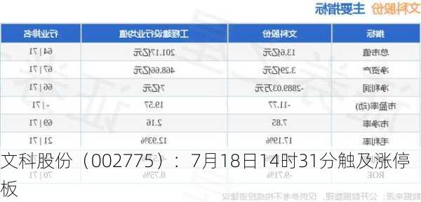 文科股份（002775）：7月18日14时31分触及涨停板