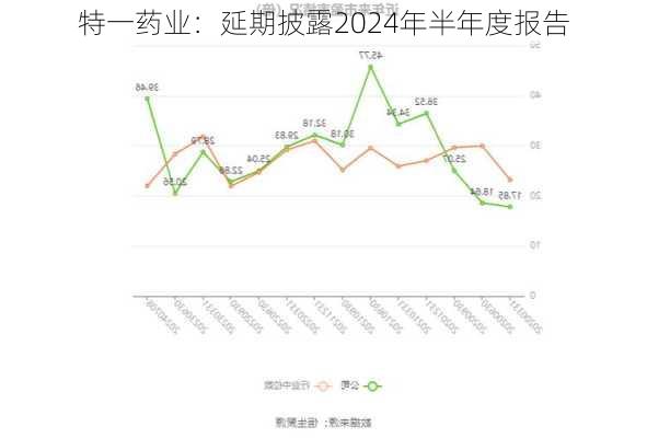 特一药业：延期披露2024年半年度报告