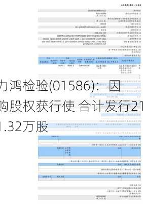 力鸿检验(01586)：因购股权获行使 合计发行211.32万股