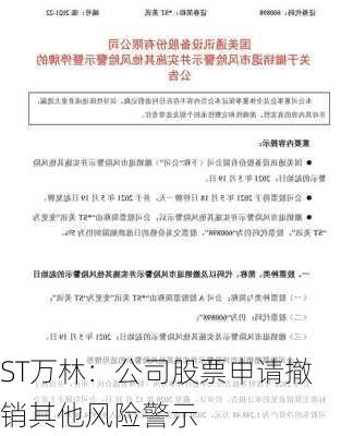 ST万林：公司股票申请撤销其他风险警示