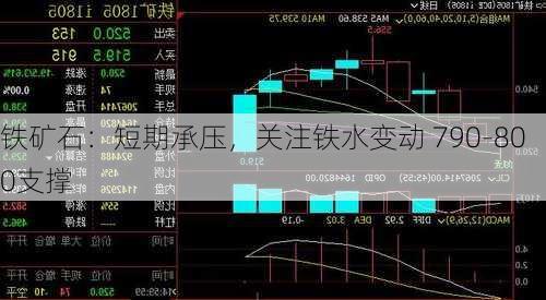 铁矿石：短期承压，关注铁水变动 790-800支撑