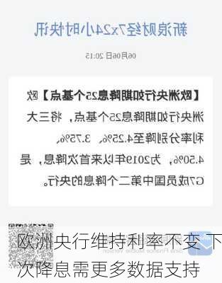 欧洲央行维持利率不变 下次降息需更多数据支持