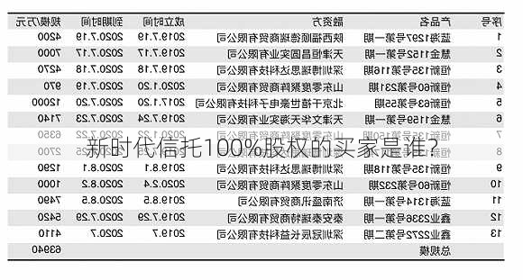 新时代信托100%股权的买家是谁？