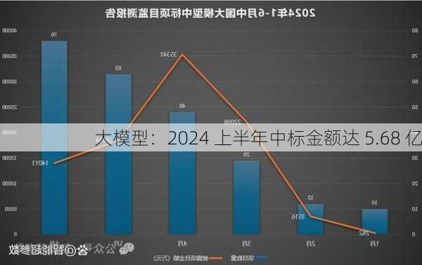 大模型：2024 上半年中标金额达 5.68 亿