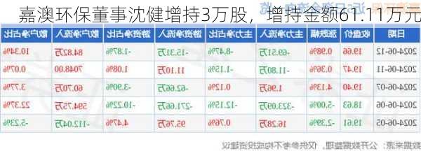 嘉澳环保董事沈健增持3万股，增持金额61.11万元