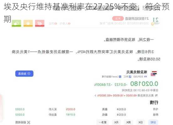 埃及央行维持基准利率在27.25%不变，符合预期