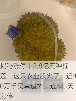 揭秘涨停丨2.8亿元种榴莲，这只农业股火了，近40万手买单追捧，连续3天涨停