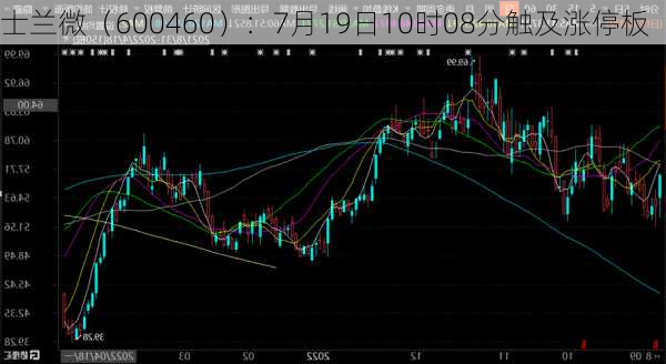 士兰微（600460）：7月19日10时08分触及涨停板