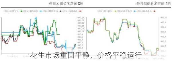 花生市场重回平静，价格平稳运行