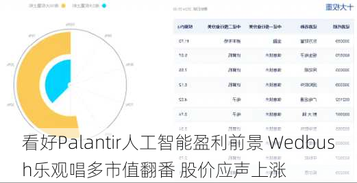 看好Palantir人工智能盈利前景 Wedbush乐观唱多市值翻番 股价应声上涨