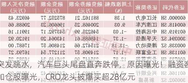 突发跳水，汽车巨头尾盘直奔跌停，原因曝光！融资客加仓股曝光，CRO龙头被爆买超28亿元