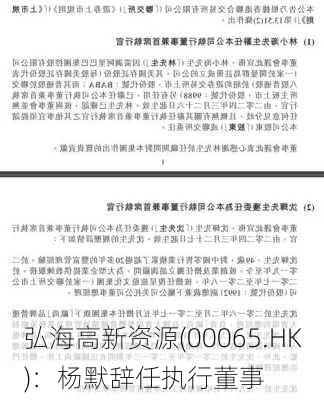 弘海高新资源(00065.HK)：杨默辞任执行董事