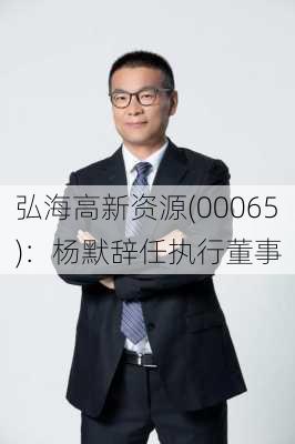 弘海高新资源(00065)：杨默辞任执行董事