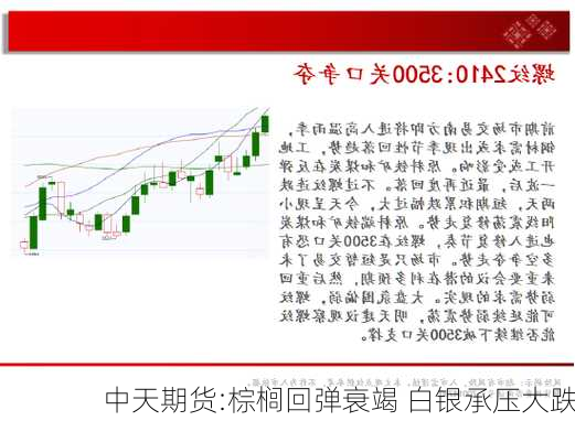 中天期货:棕榈回弹衰竭 白银承压大跌