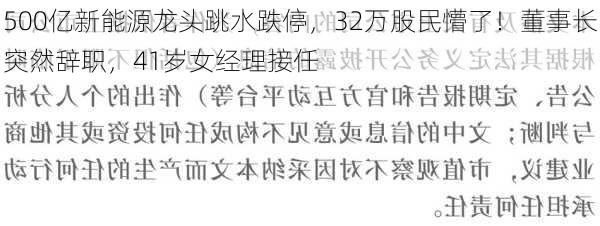 500亿新能源龙头跳水跌停，32万股民懵了！董事长突然辞职，41岁女经理接任