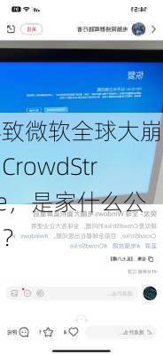 导致微软全球大崩溃的CrowdStrike，是家什么公司？