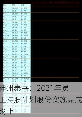 神州泰岳：2021年员工持股计划股份实施完成终止