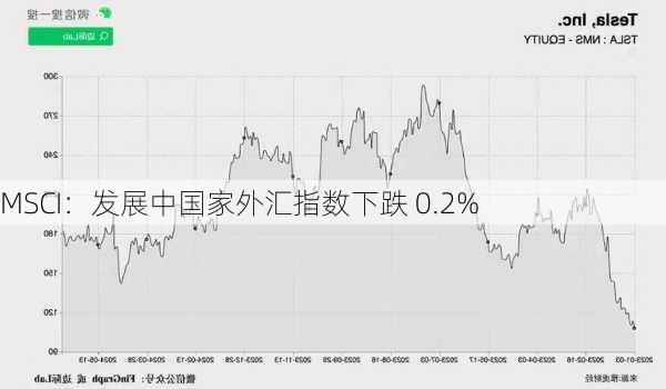 MSCI：发展中国家外汇指数下跌 0.2%