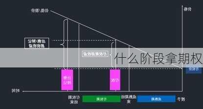 什么阶段拿期权