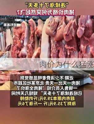 肉价为什么猛涨